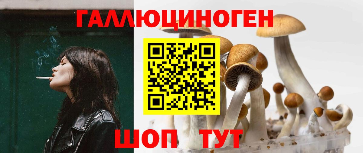 Галлюциногенные грибы Magic Shrooms Гатчина