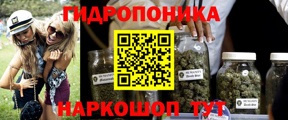 Канабис OG Kush Гатчина